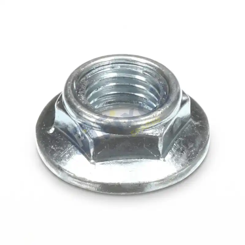 Nut,Common